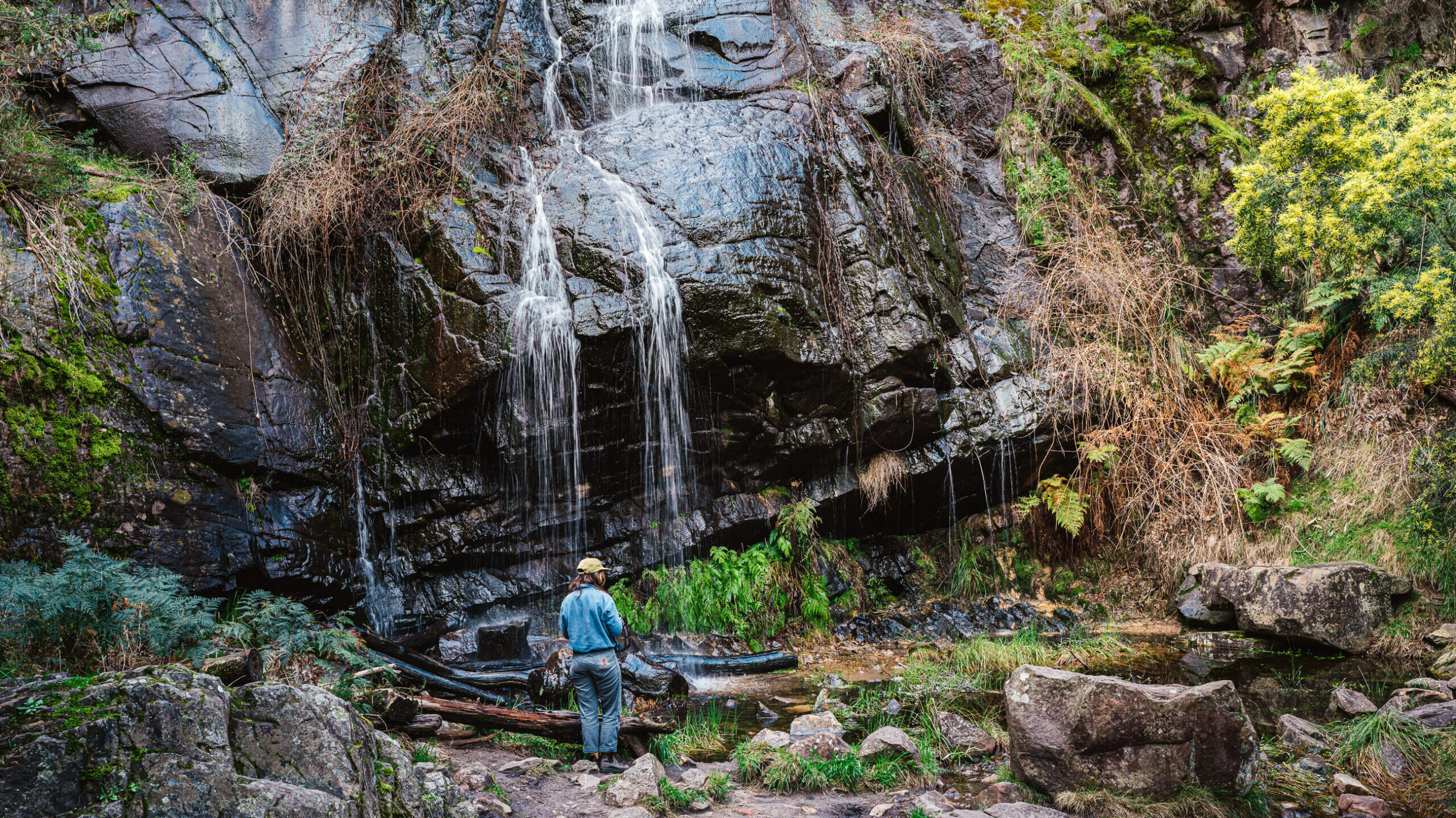Clematis Falls